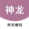 神龙资讯