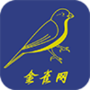 金雀网
